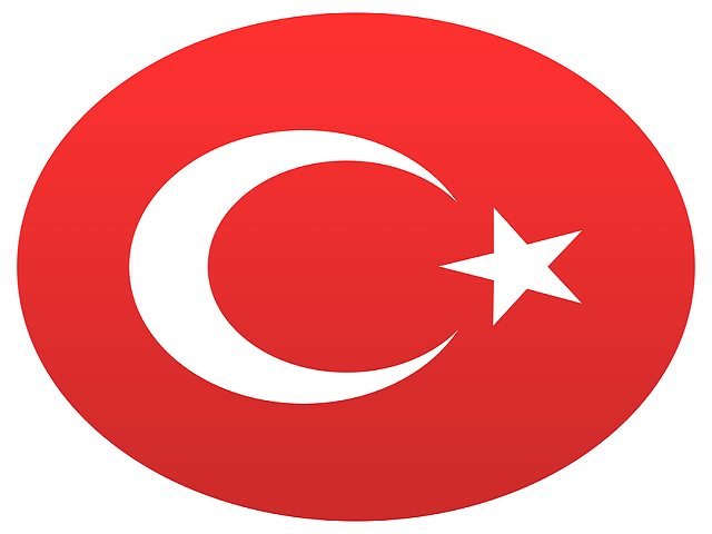 İsveç Türkiye Milli Maçı TRT 1 Canlı Yayınlanacak